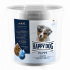 starter_puppy food_happy dog