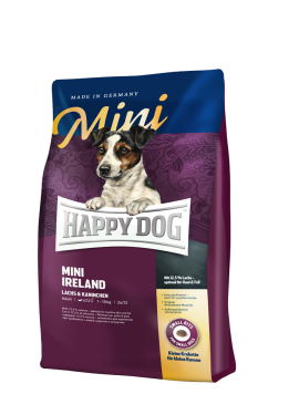 Happy dog mini ireland