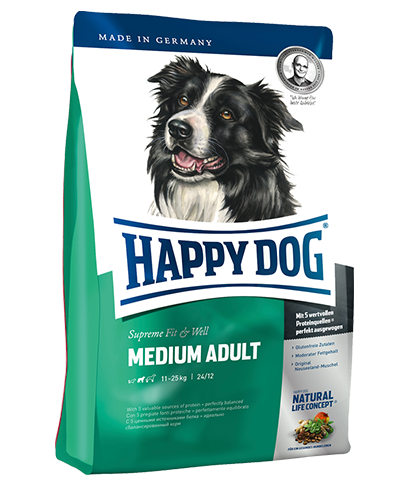 happy dog mauritius