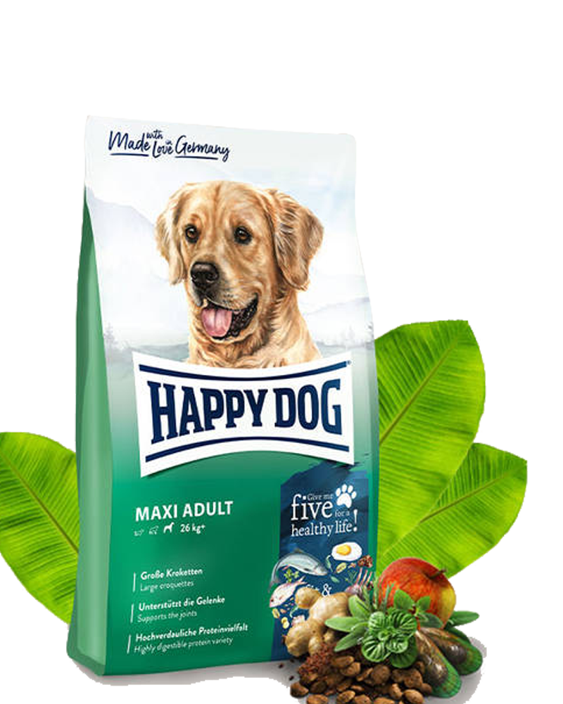 happy dog puppy maxi