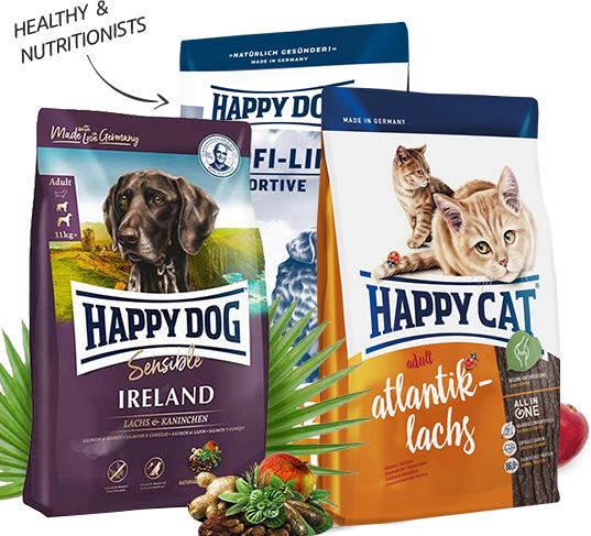 Happy Dog Mauritius healthy pet form