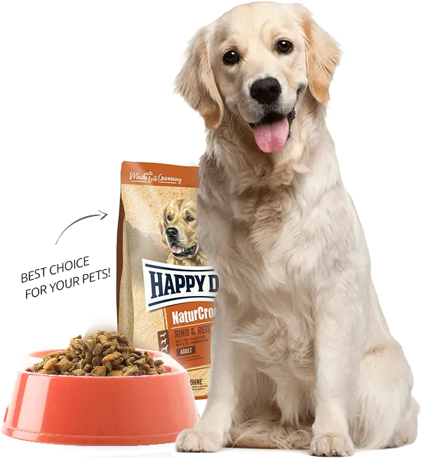 Happy Dog Mauritius Why Us