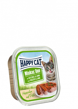 duo pate_cat fod_happy cat