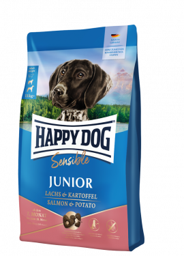 sensible_junior food_happy dog