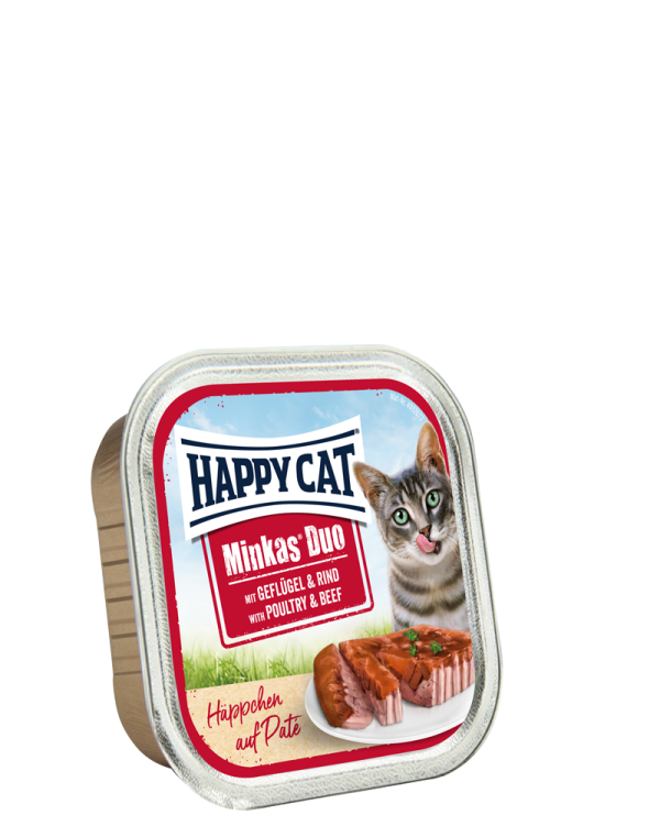 duo pate_cat food_happy cat