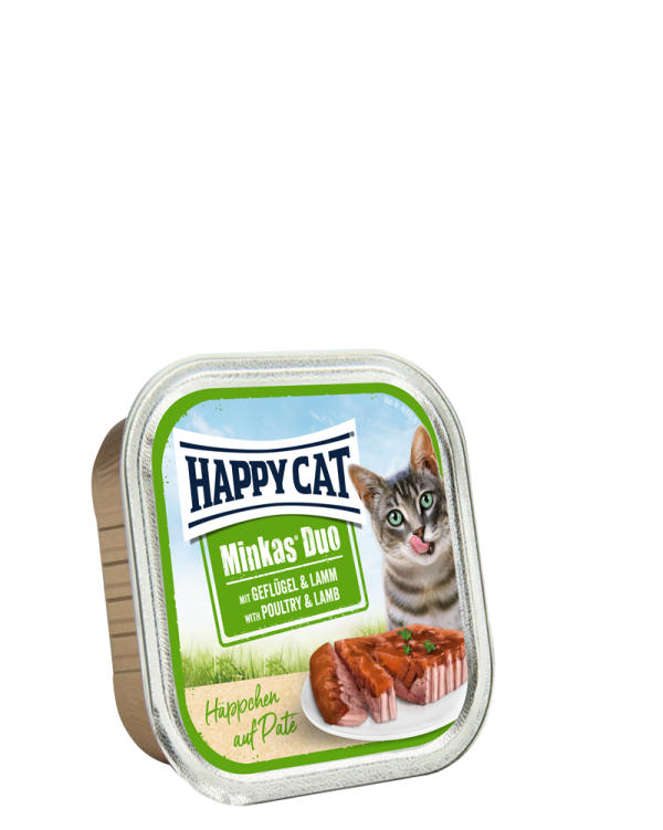 duo pate_cat fod_happy cat