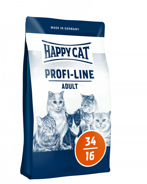 profi_cat food_happy cat